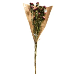 Discount Fagots Secs D'Immortelles Idées De Cadeaux