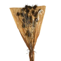 Sale Fleur De Chardon Sechee Fleurs Individuelles
