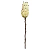 Online Fleur De Tige Artificielle Protea Fleurs Individuelles