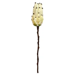 Online Fleur De Tige Artificielle Protea Fleurs Individuelles