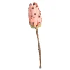 Hot Fleur De Tige Artificielle Protea Fleurs Individuelles
