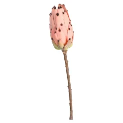Hot Fleur De Tige Artificielle Protea Fleurs Individuelles