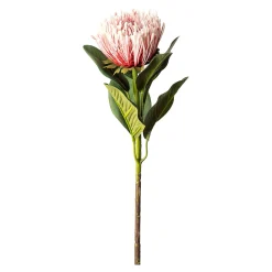 Outlet Fleur De Tige Artificielle Protea Fleurs Individuelles