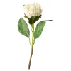Fashion Fleur De Tige Artificielle Protea Fleurs Individuelles