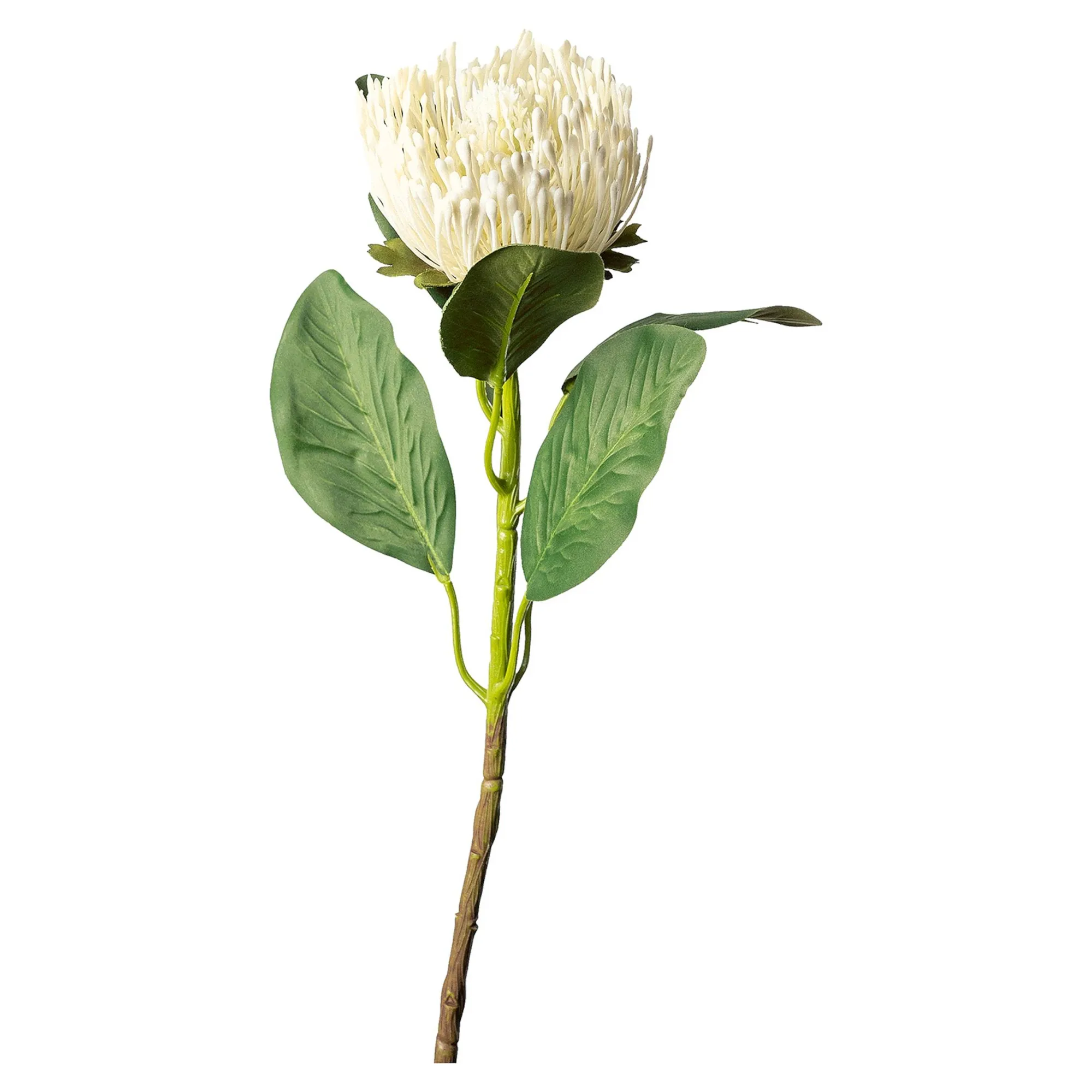 Fashion Fleur De Tige Artificielle Protea Fleurs Individuelles
