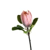 Best Sale Fleur De Tige Artificielle Protea Idées De Cadeaux
