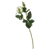 Best Fleur De Tige Artificielle Rose Fleurs Individuelles