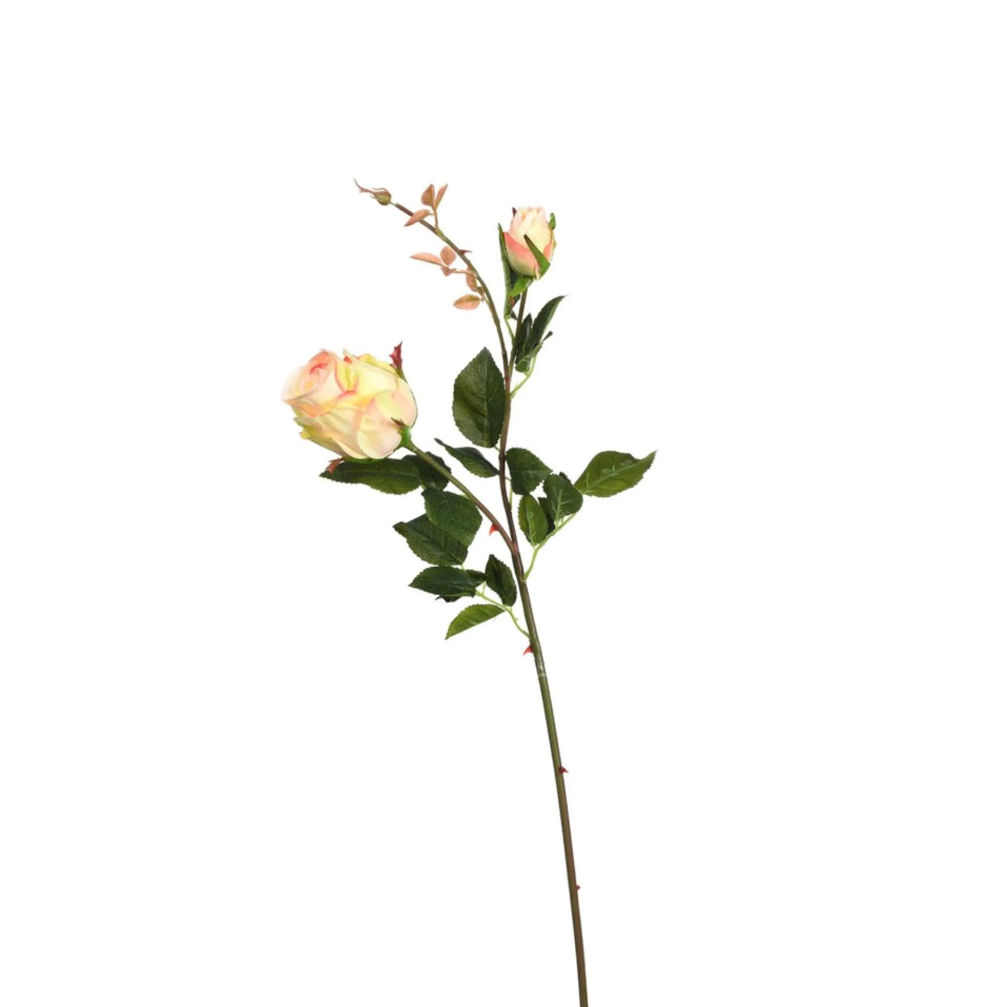 Flash Sale Fleur De Tige Artificielle Rose Idées De Cadeaux