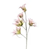 Fashion Fleur De Tige Artificielle Softflower Exotica Fleurs Individuelles