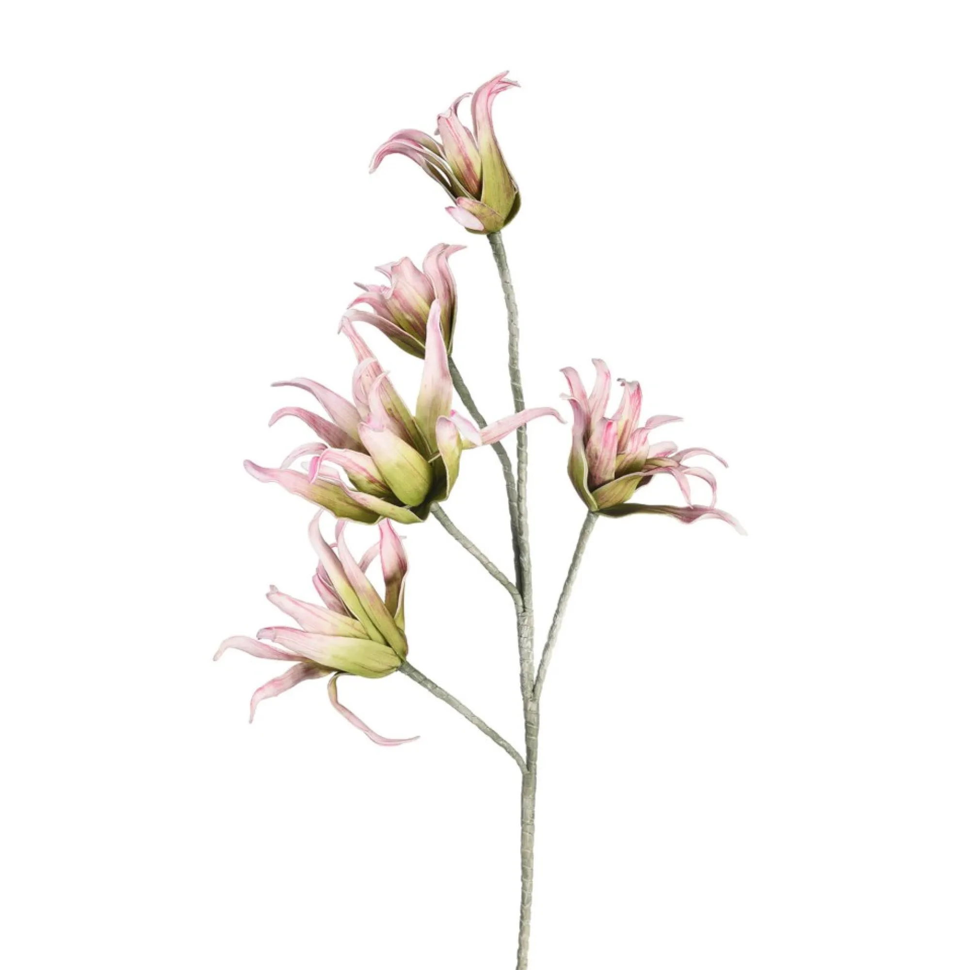 Fashion Fleur De Tige Artificielle Softflower Exotica Fleurs Individuelles