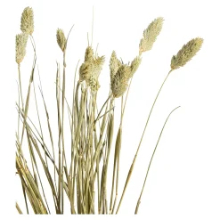 Fashion Fleur Sechee Canari Fleurs Individuelles