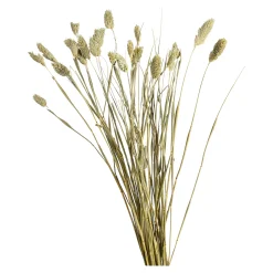 Fashion Fleur Sechee Canari Fleurs Individuelles