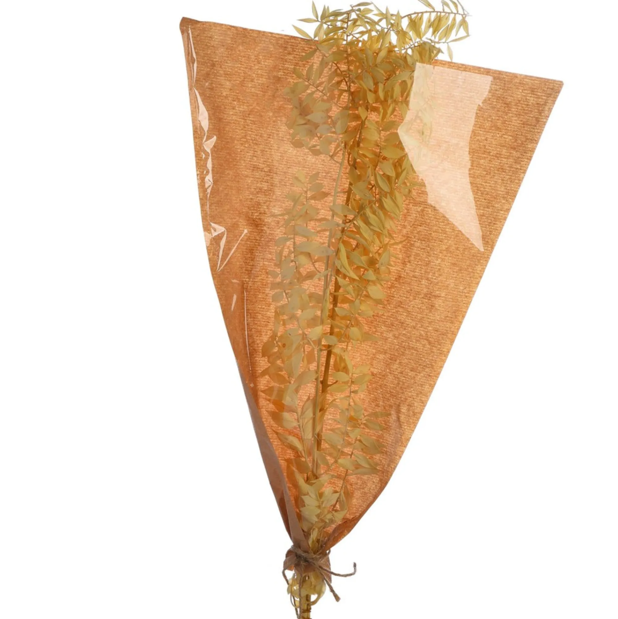 Best Fleur Sechee De Ruscus Fleurs Individuelles