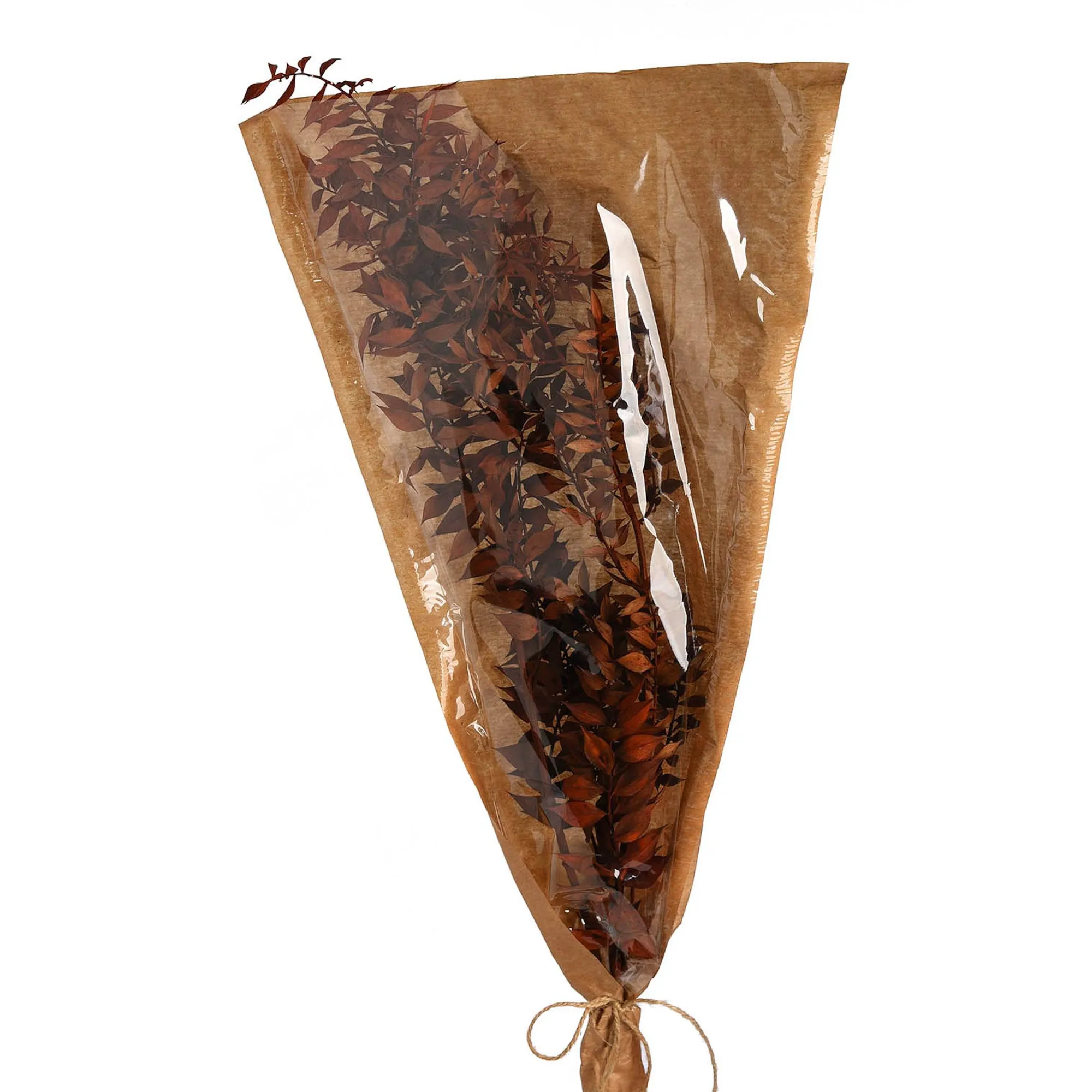 Flash Sale Fleur Sechee De Ruscus Fleurs Individuelles