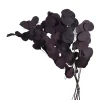 Online Fleur Sechee Eucalyptus Bold Fleurs Individuelles