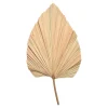 Best Sale Fleur Sechee Feuille De Palmier Fleurs Individuelles