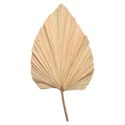Best Sale Fleur Sechee Feuille De Palmier Fleurs Individuelles