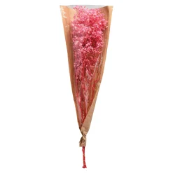 Sale Fleur Sechee Gypsophilia Fleurs Individuelles