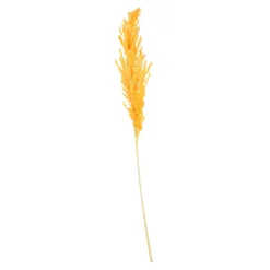 Cheap Fleur Sechee Herbe De La Pampa Fleurs Individuelles