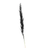 Shop Fleur Sechee Herbe De La Pampa Fleurs Individuelles
