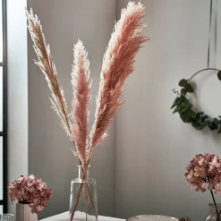 Sale Fleur Sechee Herbe De La Pampa Fleurs Individuelles