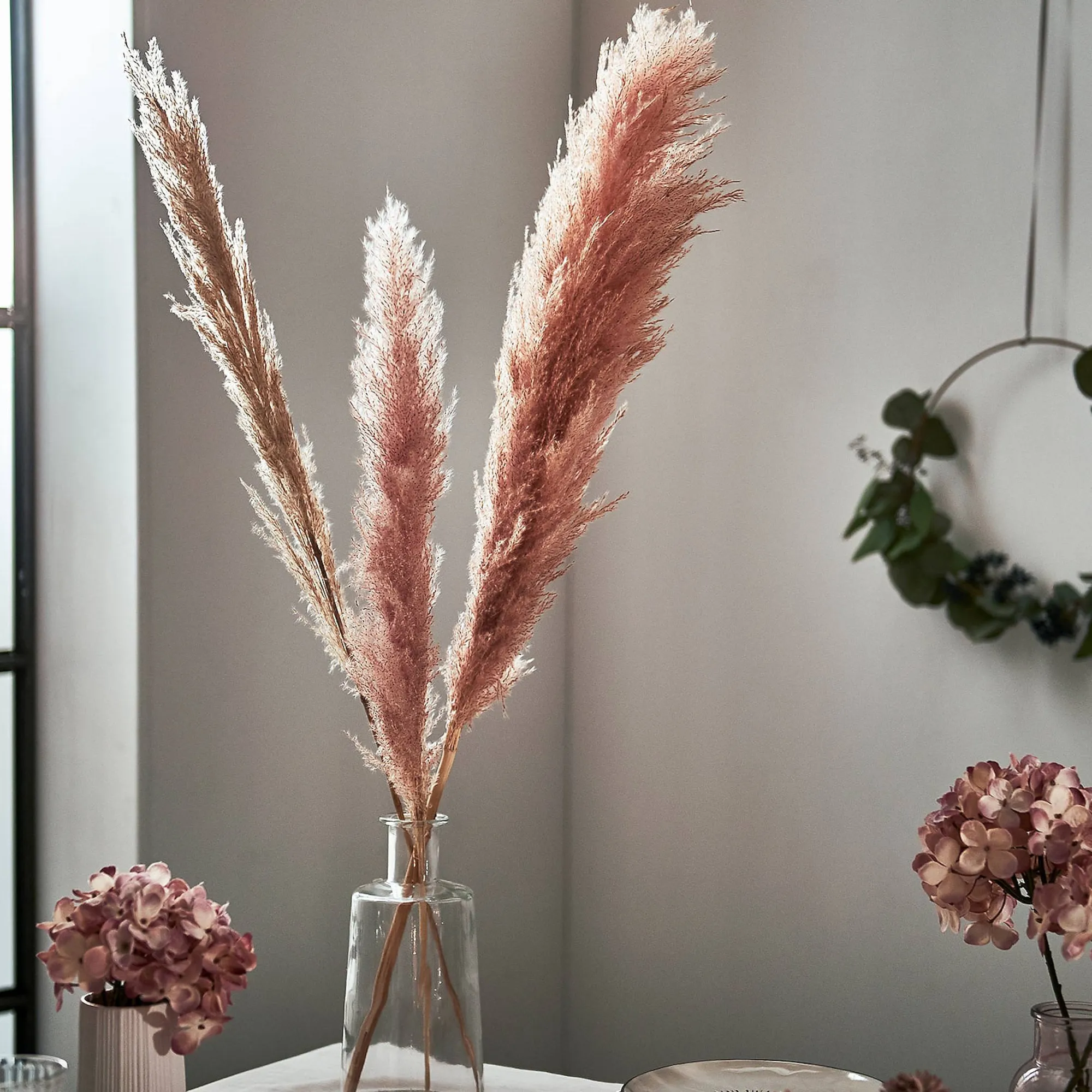 Sale Fleur Sechee Herbe De La Pampa Fleurs Individuelles