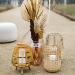 Best Sale Fleur Sechee Indian Corn Fleurs Individuelles