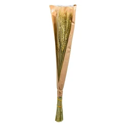 Outlet Fleur Sechee Orge Fleurs Individuelles