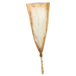 Clearance Fleur Seche Roseau Idées De Cadeaux