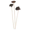 Discount Fleurs Sechees Lotus Fleurs Individuelles