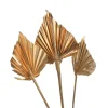 Best Sale Fleurs Sechees Palmleaf Idées De Cadeaux