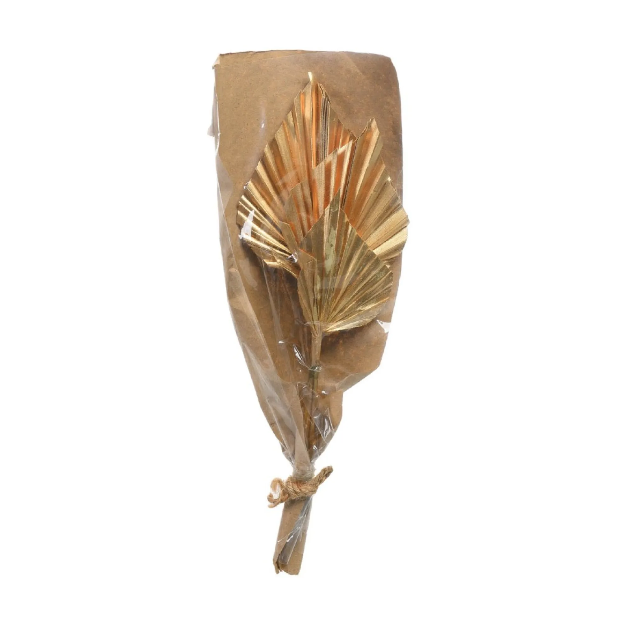 Best Sale Fleurs Sechees Palmleaf Idées De Cadeaux