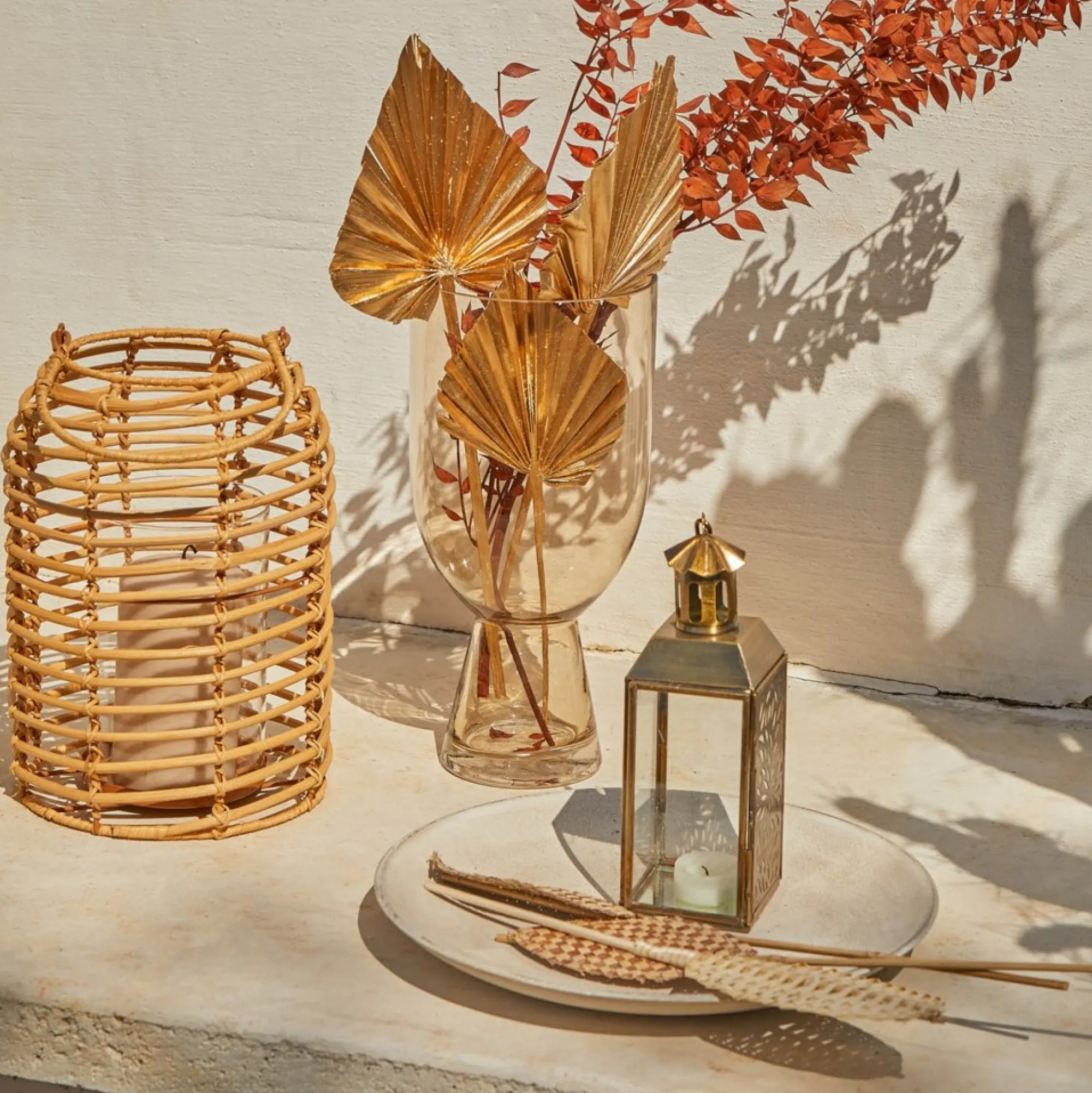 Clearance Fleurs Sechees Palmleaf Idées De Cadeaux