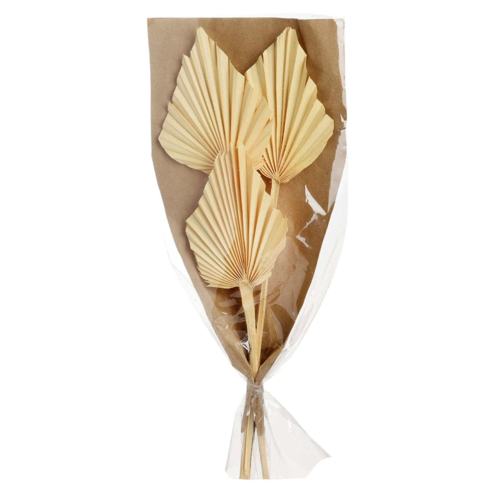 Cheap Fleurs Sechees Palmleaf Idées De Cadeaux