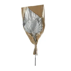 Best Sale Fleurs Sechees Palmleaf Idées De Cadeaux