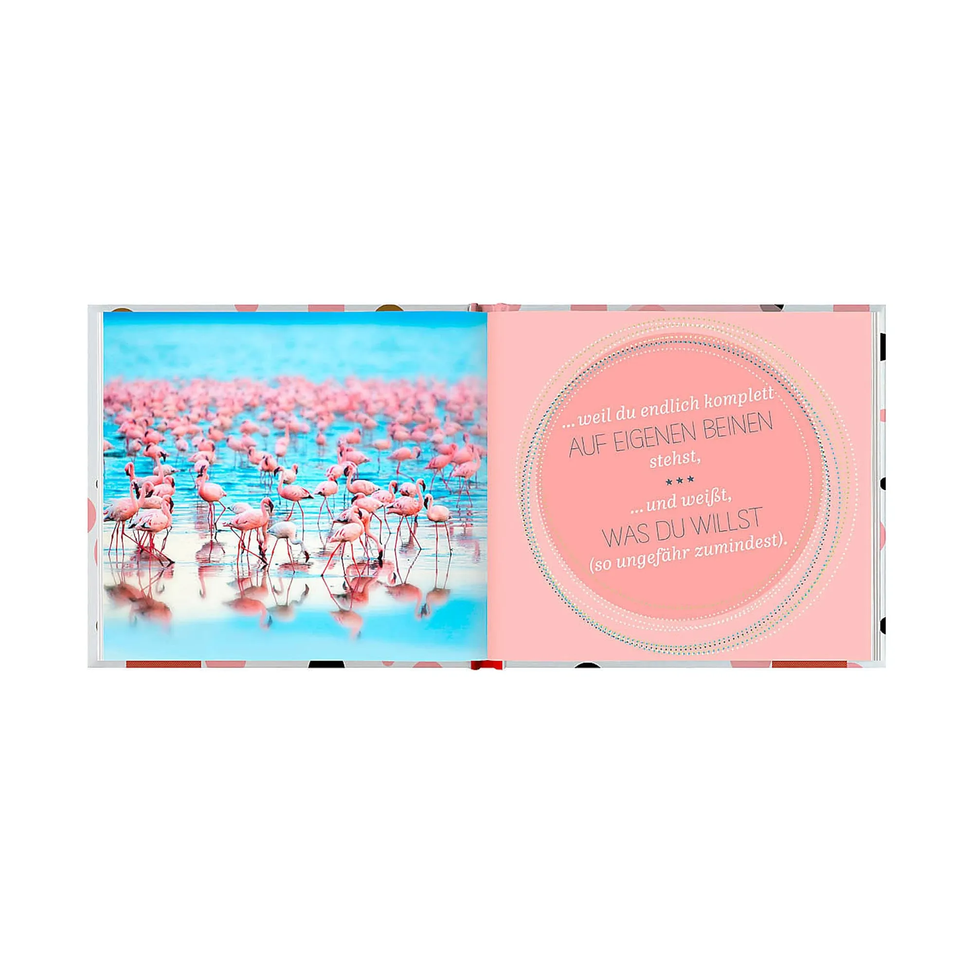 Flash Sale Livre 30 Ist Einfach Fabelhaft Hobbies & Lifestyle