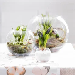 Flash Sale Mini Vase Boule Basic Vases