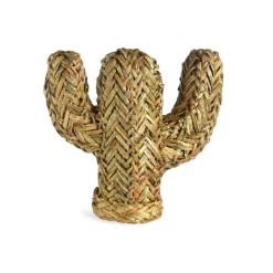 Clearance Objet Décoratif Cactus Idées De Cadeaux