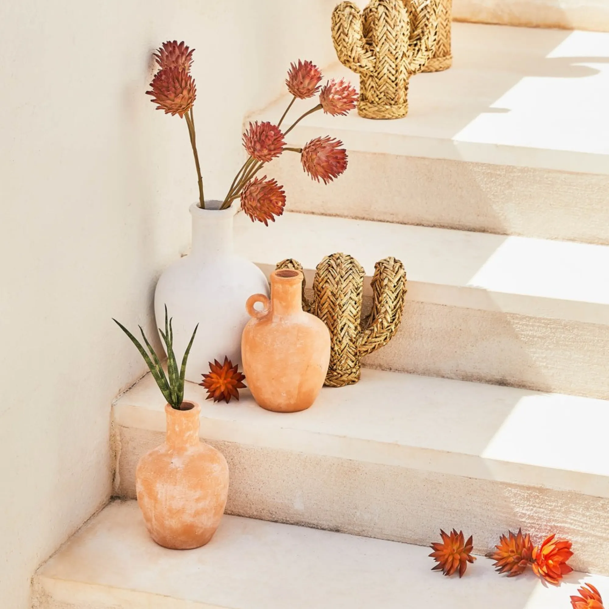 Clearance Objet Décoratif Cactus Idées De Cadeaux