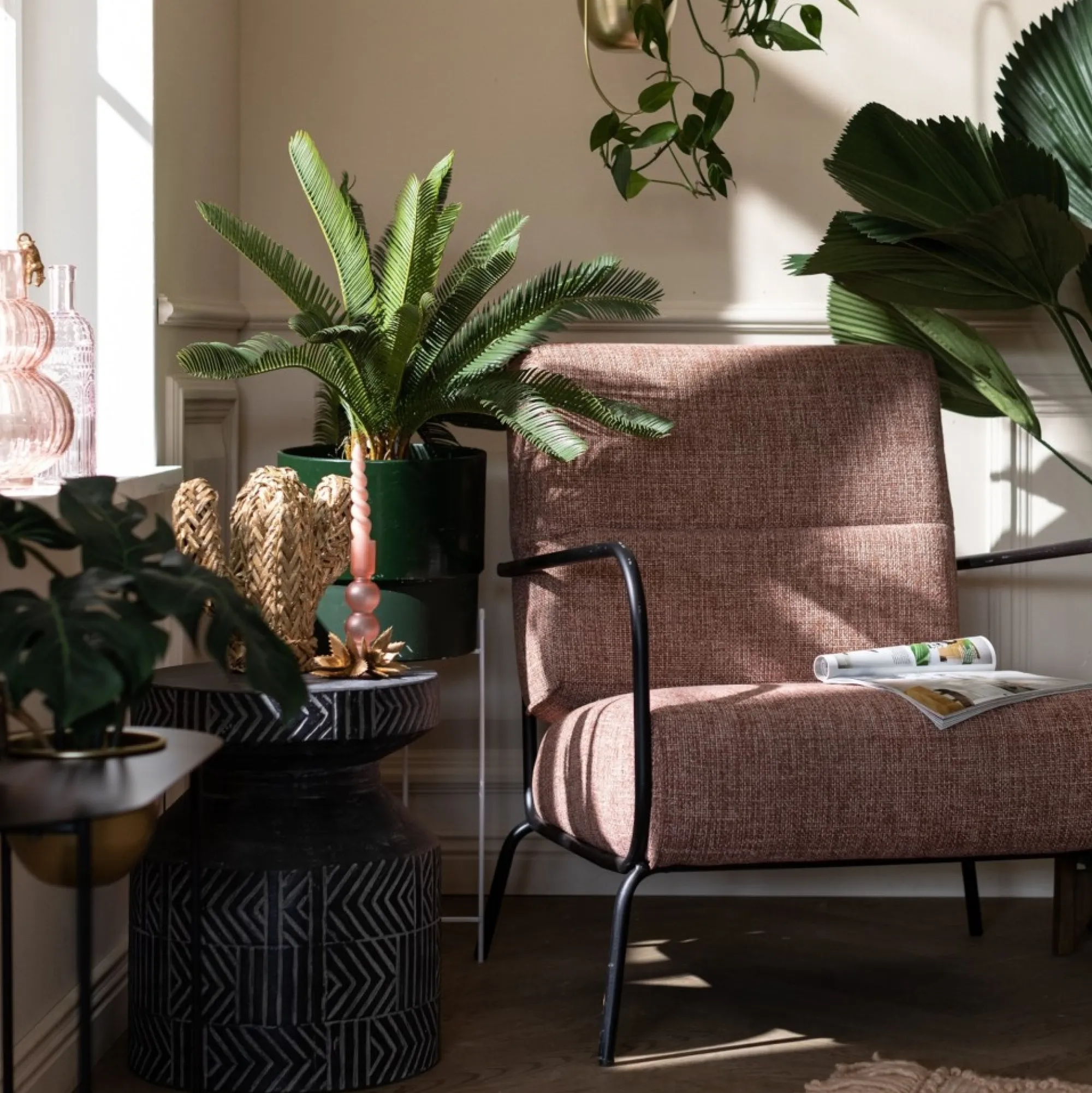 Clearance Objet Décoratif Cactus Idées De Cadeaux