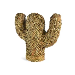 Clearance Objet Décoratif Cactus Idées De Cadeaux