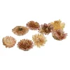 Cheap Pailles Naturelles Fleurs De Paille Idées De Cadeaux
