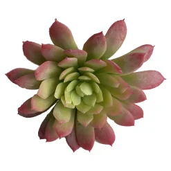 Cheap Pic A Fleurs Artificiel Succulente Fleurs Individuelles