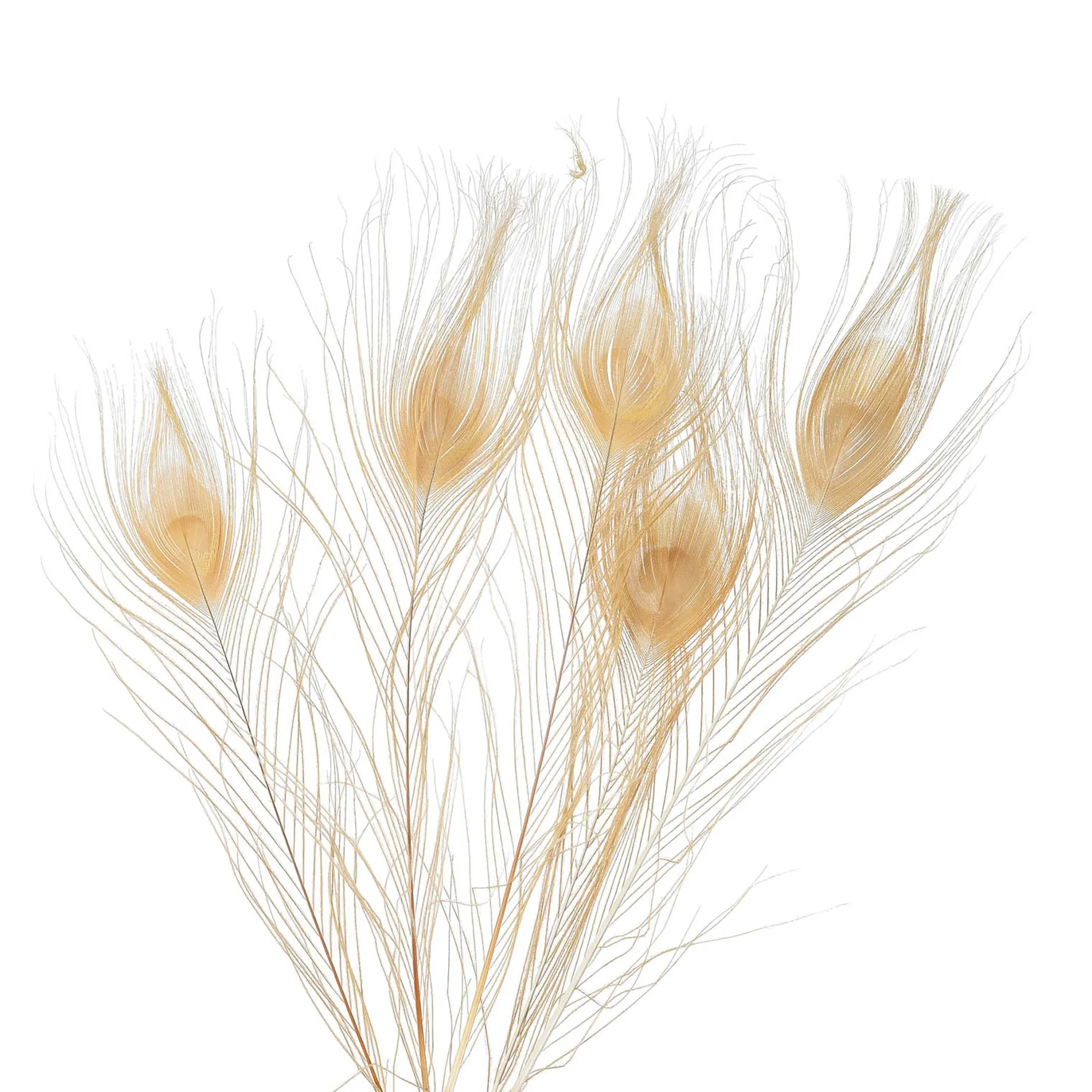 New Plumes De Paon Décoratives Bricolage & Diy