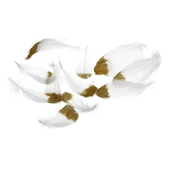 Discount Plumes Naturelles Deco Paillettes Idées De Cadeaux