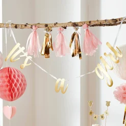 New Set De Décoration De Fete It'S A Girl Pays Des Enfants