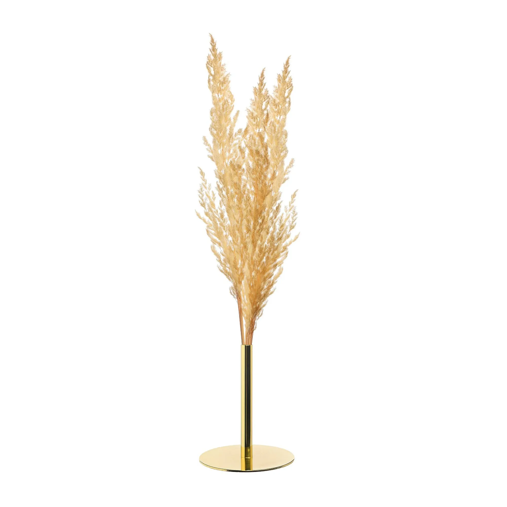 Sale Support Décoratif Avec Herbe De La Pampa Idées De Cadeaux