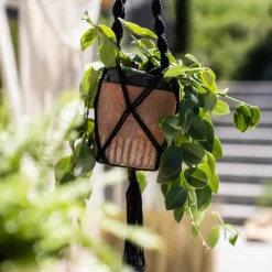 Discount Suspension Pour Cache-Pots Idées De Cadeaux