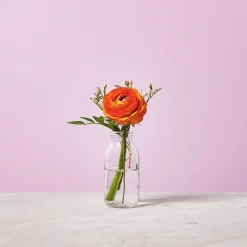 Best Sale Vase A Bouteilles Bernice Vases