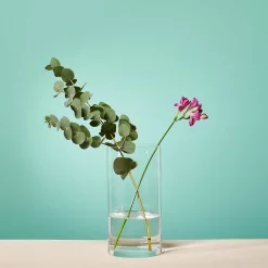 Outlet Vase Bellevie Idées De Cadeaux